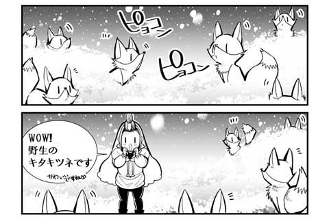 【おまけ】キタキツネ