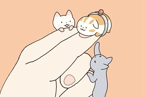 7ニャン・8ニャン