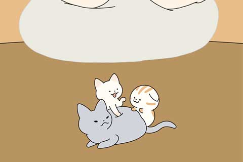 15ニャン