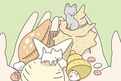 28ニャン