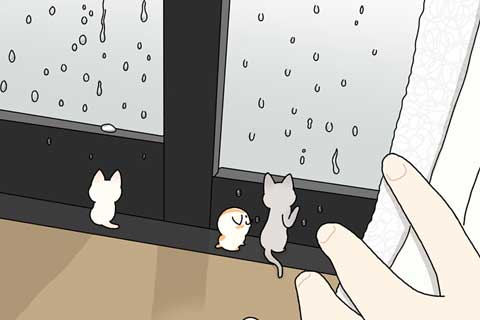 30ニャン