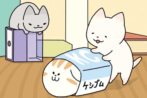33ニャン