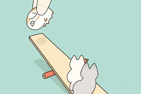 34ニャン