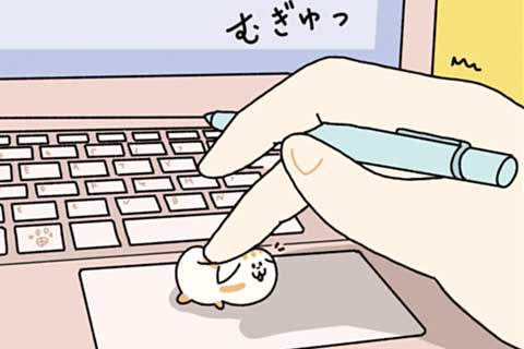 35ニャン