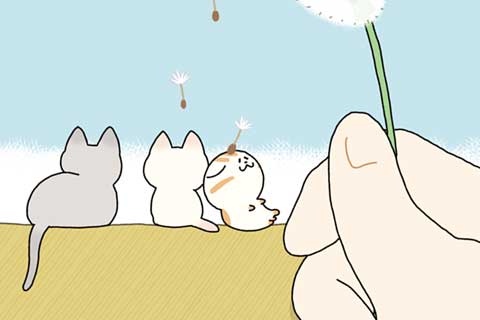 38ニャン