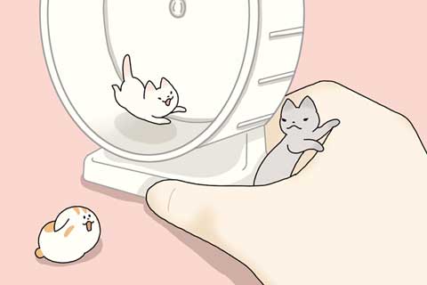 39ニャン