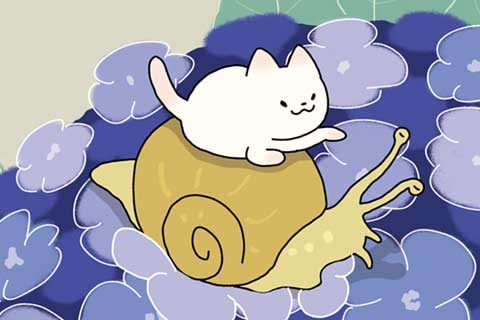 40ニャン