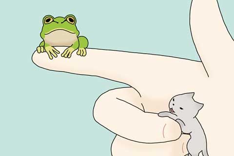 41ニャン