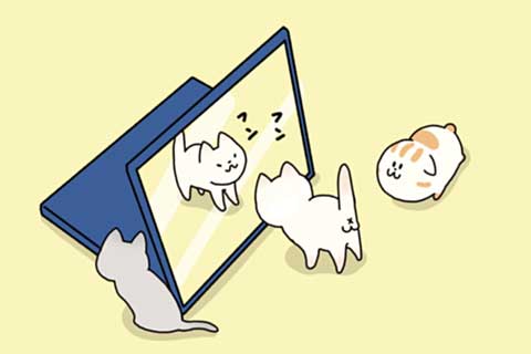 43ニャン