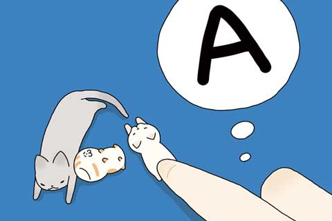 45ニャン