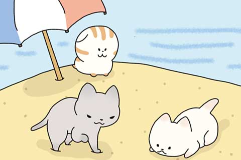 49ニャン