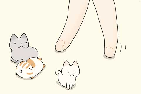 50ニャン