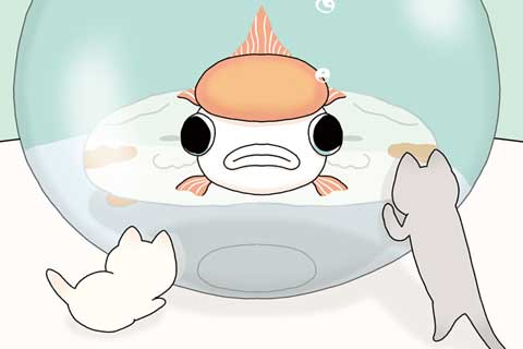 51ニャン