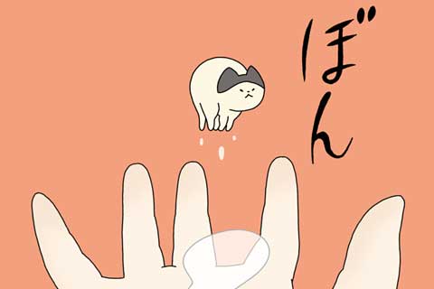 52ニャン