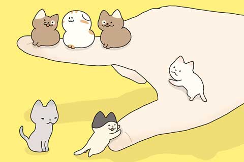 54ニャン