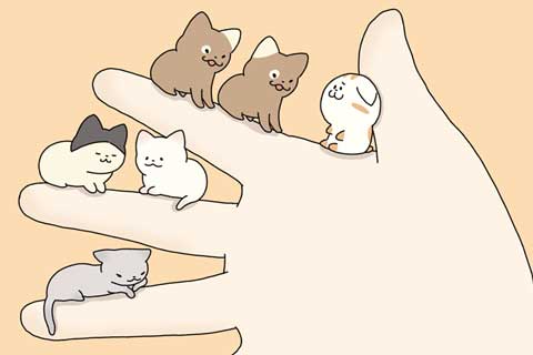 (完結)最終ニャン
