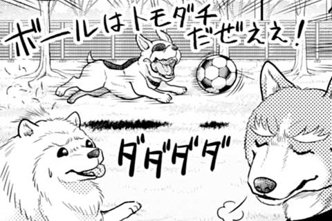 89.サッカーは時空を超えて!? 戦国日本代表イレブン選抜!!!!!