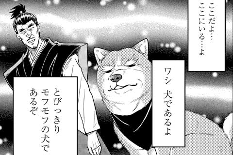 公式 基本無料で読める 織田シナモン信長 信長が柴犬になって現代に転生 マンガほっとアプリ