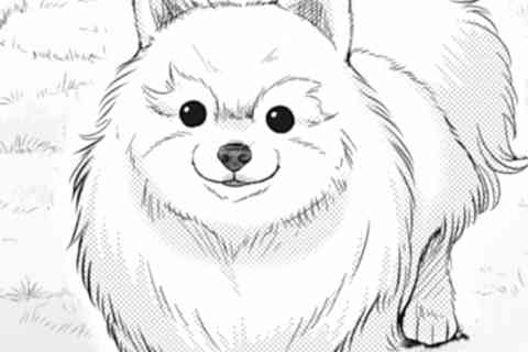 3.恋しさとせつなさとこころ強さと群雄割拠