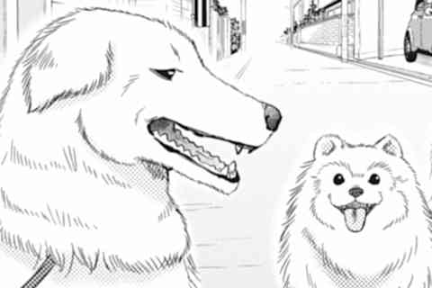 8.人だって犬だって、長い物には巻かれとこう!!!