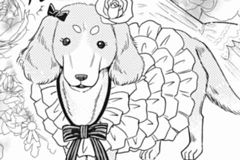 11.犬貴族、桶狭間の戦い再び…であるか?