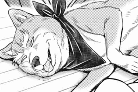 12.犬とビキニの贅沢♥マリアージュ