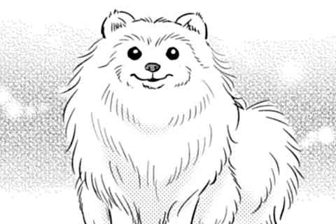 22.極めろ!炎のぱんてぃ占い!