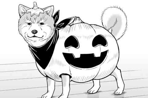 32.ウェーイ!犬と一緒に楽しむパーリィ☆ハロウィン!!