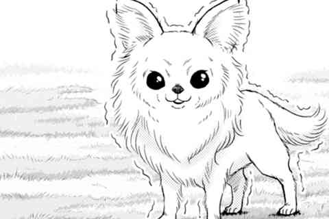 33.ロックだぜ!!!かわいい♥最凶の漢現る?