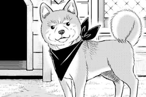 37.コタツでほっこり♪極寒越冬木枯らし冬将軍
