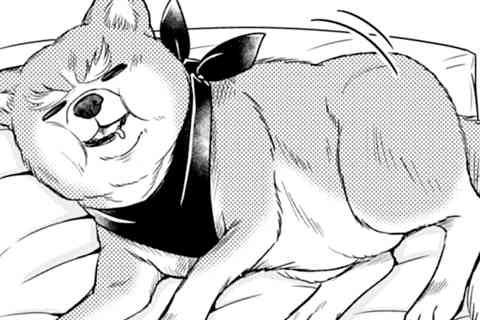 40.丸い犬はすきですか?ムッチムッチ解消だいえっと大作戦!