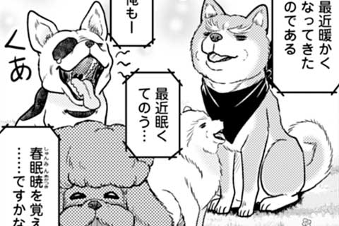 45.春!スプリング!今年も大河に乗っかり隊!!!!