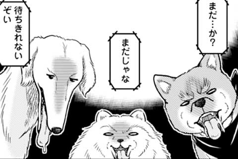 50.肉と犬と飼い主と!GWはBBQでリア獣である!!