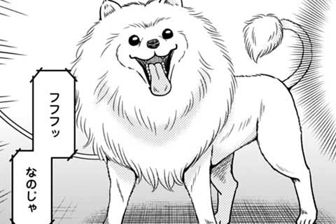 60.夏休みデビュー!大胆なヘアスタイルは犬だって真似したい!?