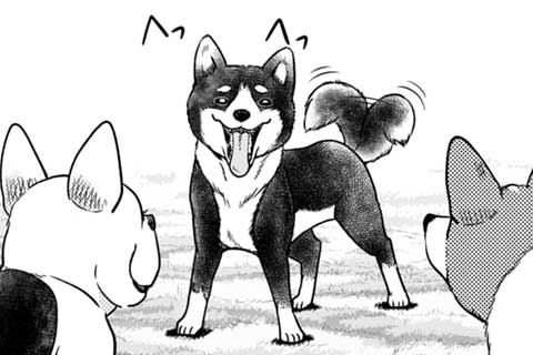 61.大物武将転生!? 前世はサルで今は犬って誰~だ???