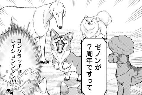 66.継続は力なり!ゼノン7周年を祝う!超絶擦り寄りスタイルの犬漫画も実は…??