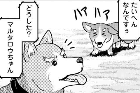 72.犯人は誰!? ドッグラン4月バカ事件簿!!