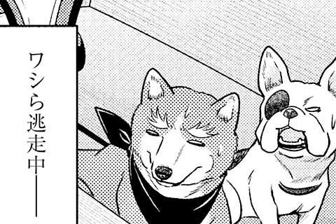 75.平成最後の夏!!運命のアイツと湖水猛犬最終戦争!!前編