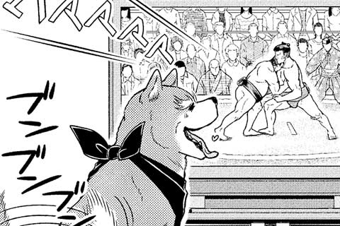 77.てれびと相撲とぐろうばる。もひとつおまけにぼーいずらぶ。