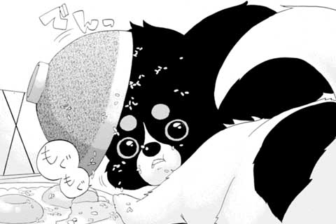 2.ボーちゃん