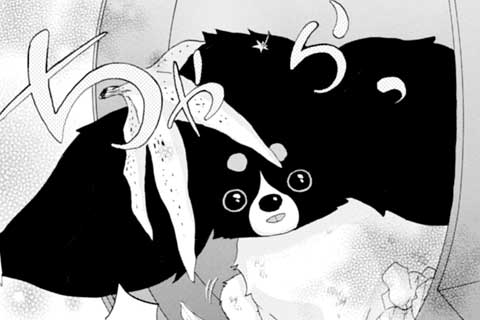 5.隠しちゃいけないもの