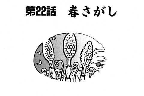 50.春さがし