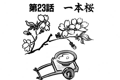51.一本桜