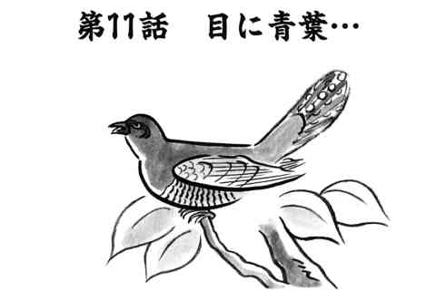91.目に青葉