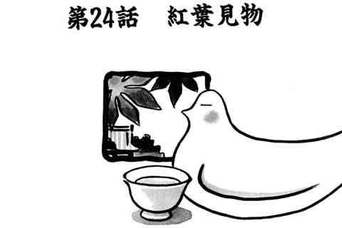 104.紅葉見物