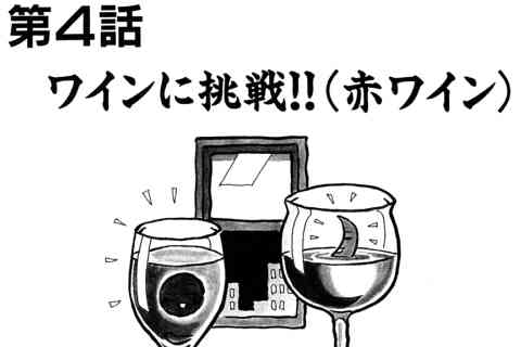 111.ワインに挑戦!!(赤ワイン)