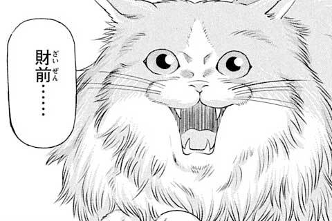 8.魔法の富