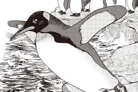 50.宇宙ペンギン