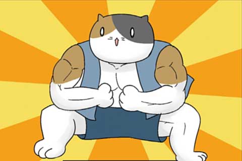 28.ニャンニャンフロンティアの回