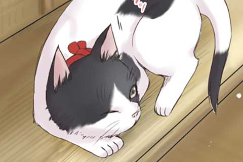 39.猫は捗る